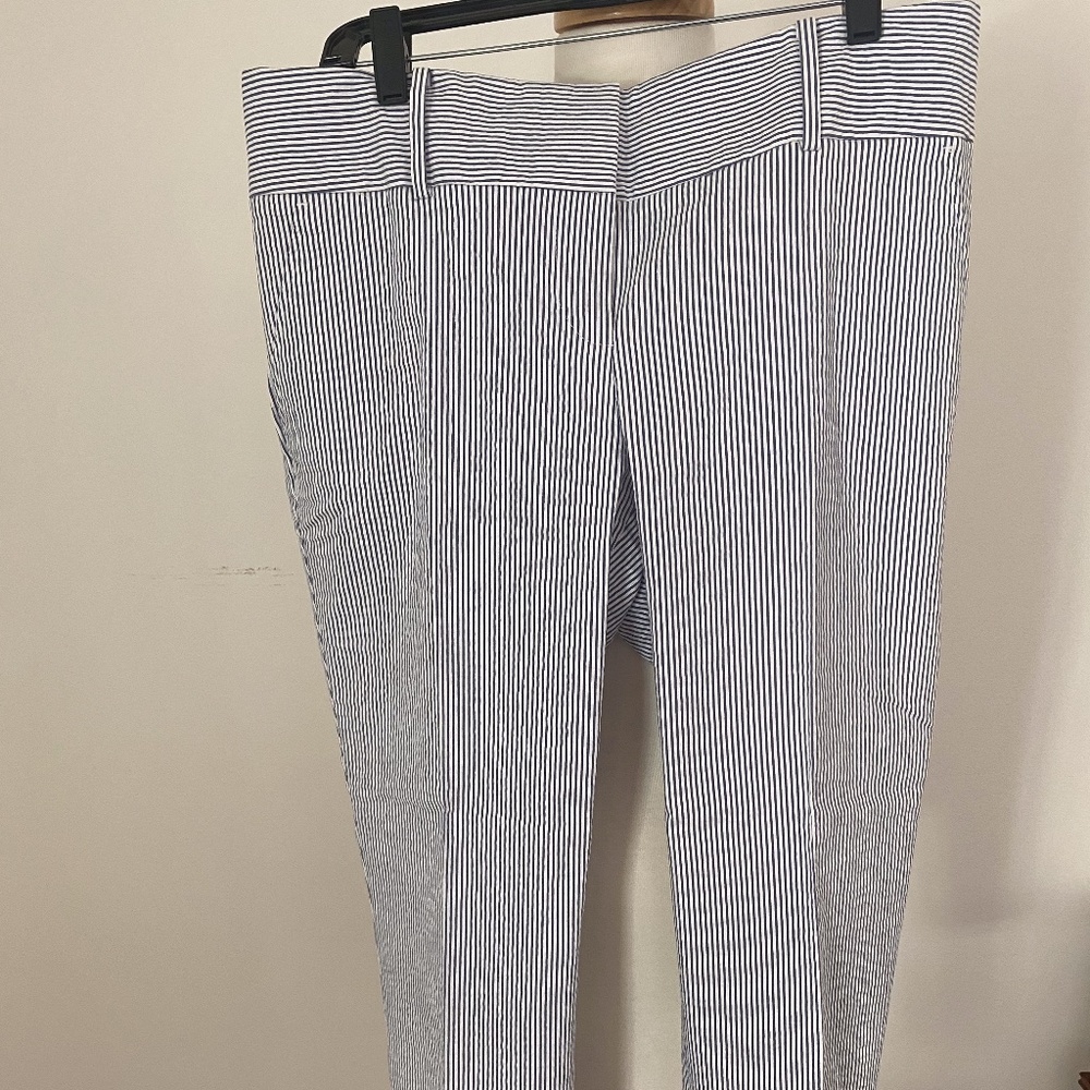 Striped Dress Pants Size 10